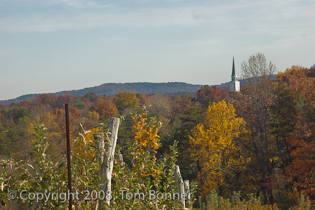 Steeple rises out a seeming forest, with South Mountain (NC) in the background