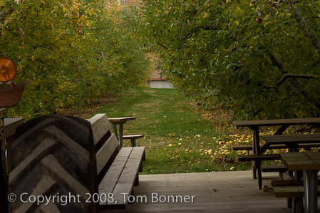Path into the orchard, Apple Hill Orchard and Cider Mill