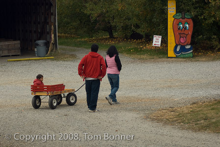Family pulling a wagon, on an outing to pick apples