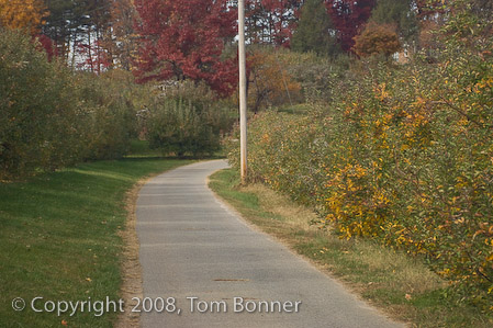 Paved walkway leading into the Apple Hill Orchard