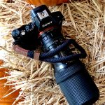 Save Your Camera! Use a Wrist Strap