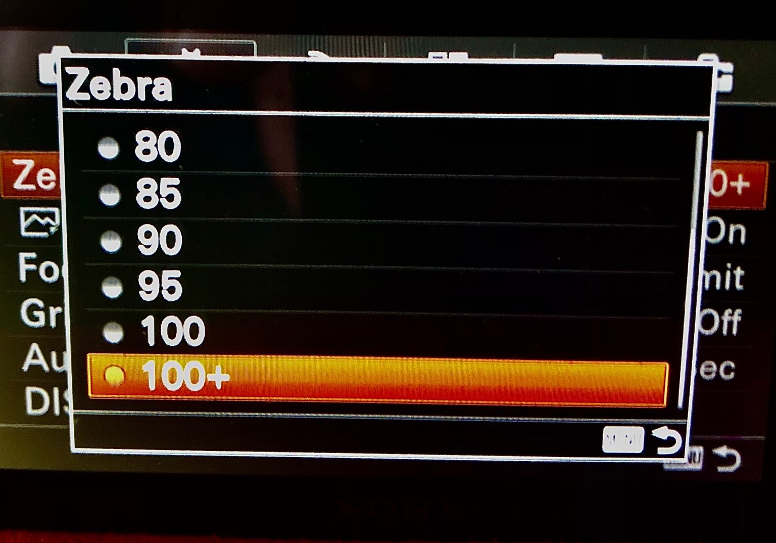 Zebra Patterns Every Mirrorless Photographer Needs Them! Alphatracks